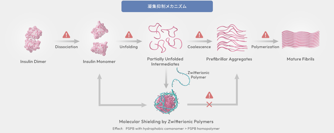 凝集抑制メカニズム