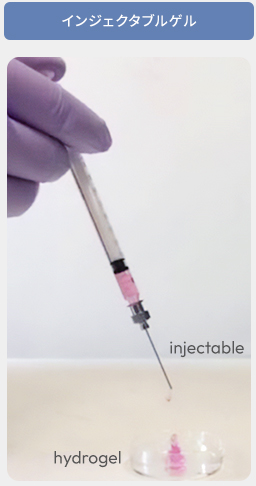 図8：インジェクタブルゲル