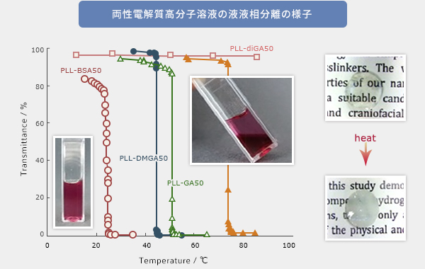図13：両性電解質高分子溶液の液液相分離の様子