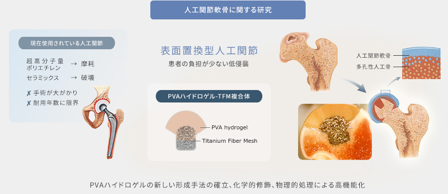 図16：人工関節軟骨に関する研究
