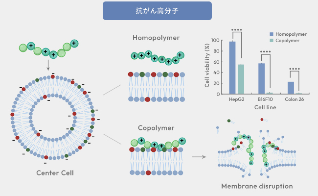 図17：抗がん高分子