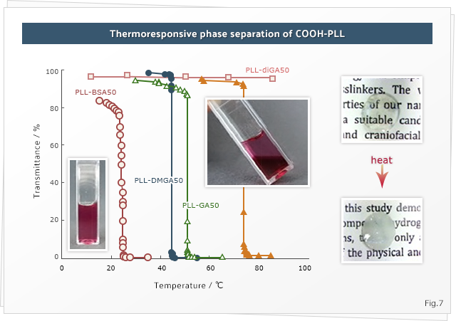 Thermoresponsive phase separation of COOH-PLL